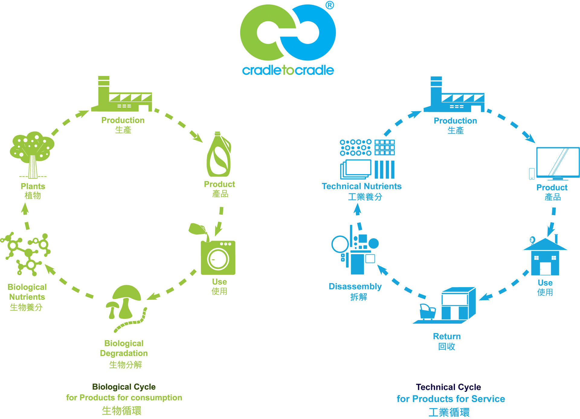 循環系統分類為「生物循環」及「工業循環」兩種循環。
